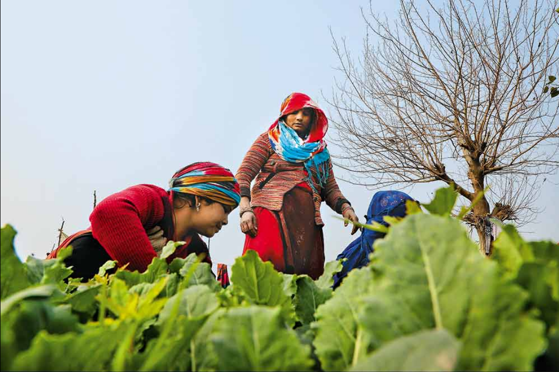 The invisible women farmers